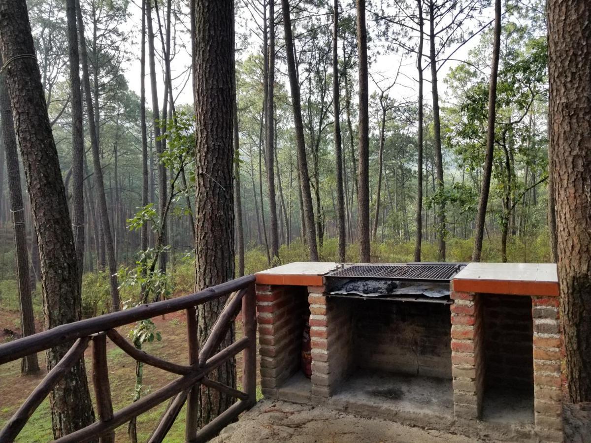 Cabana Rustica A 1Km De Cascada Масамітла Екстер'єр фото