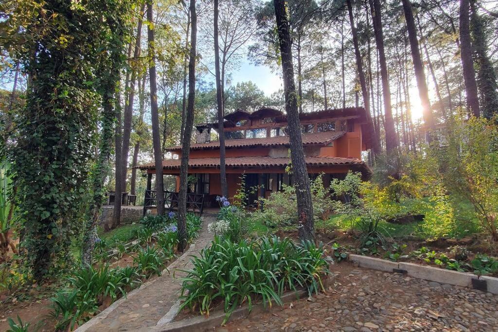 Cabana Rustica A 1Km De Cascada Масамітла Екстер'єр фото