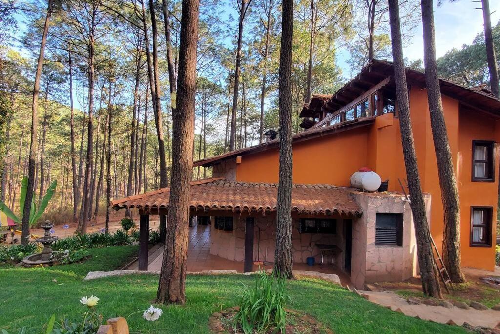 Cabana Rustica A 1Km De Cascada Масамітла Екстер'єр фото