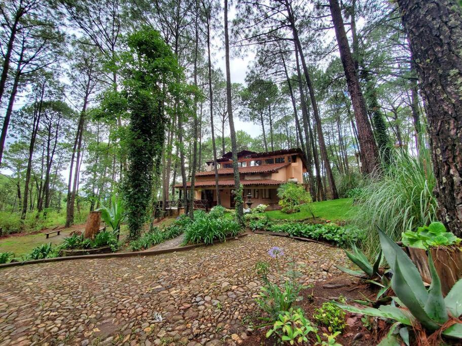Cabana Rustica A 1Km De Cascada Масамітла Екстер'єр фото