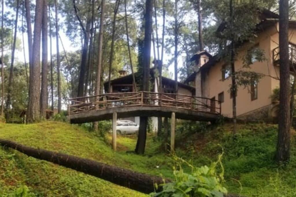 Cabana Rustica A 1Km De Cascada Масамітла Екстер'єр фото